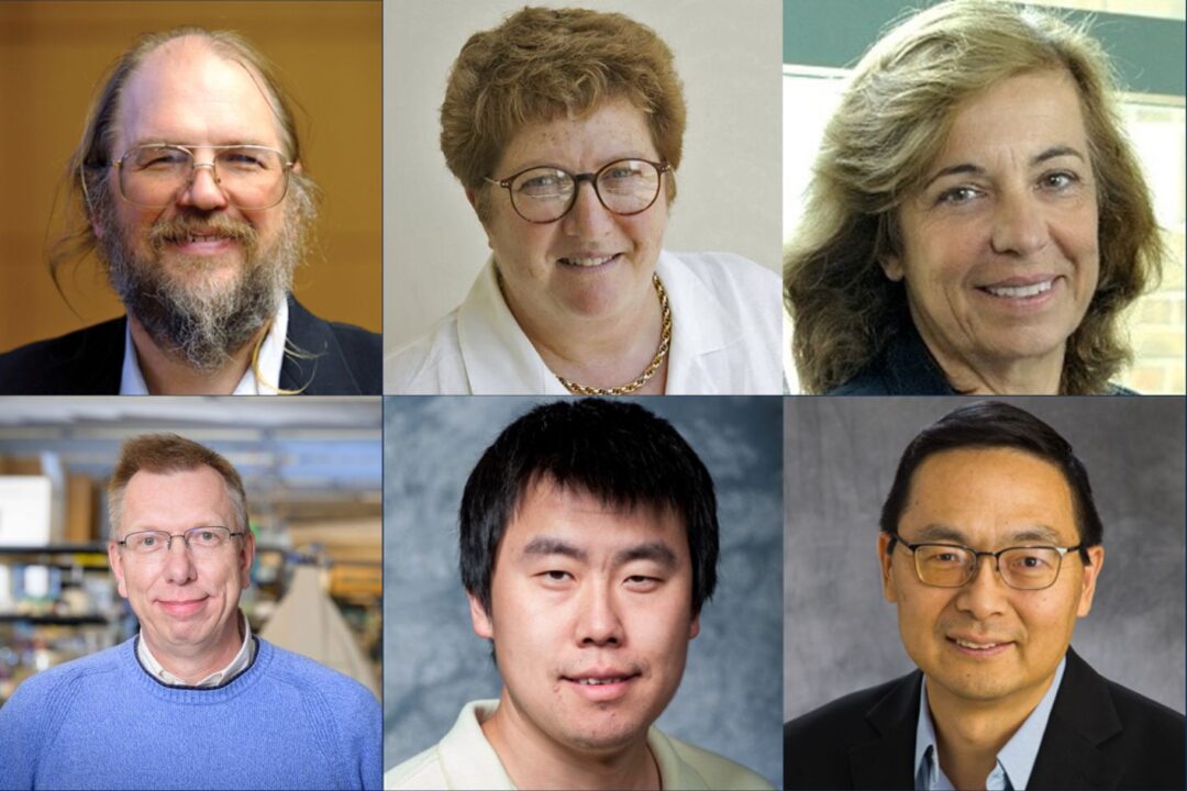 From Ideas to Impact: CCIL JumpStart Program Plays Role in ...