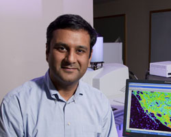 Rohit Bhargava