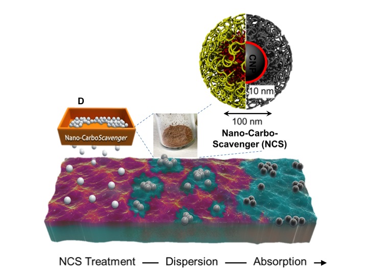 Graphic of NCS Treatment to Dispersion to Absorption