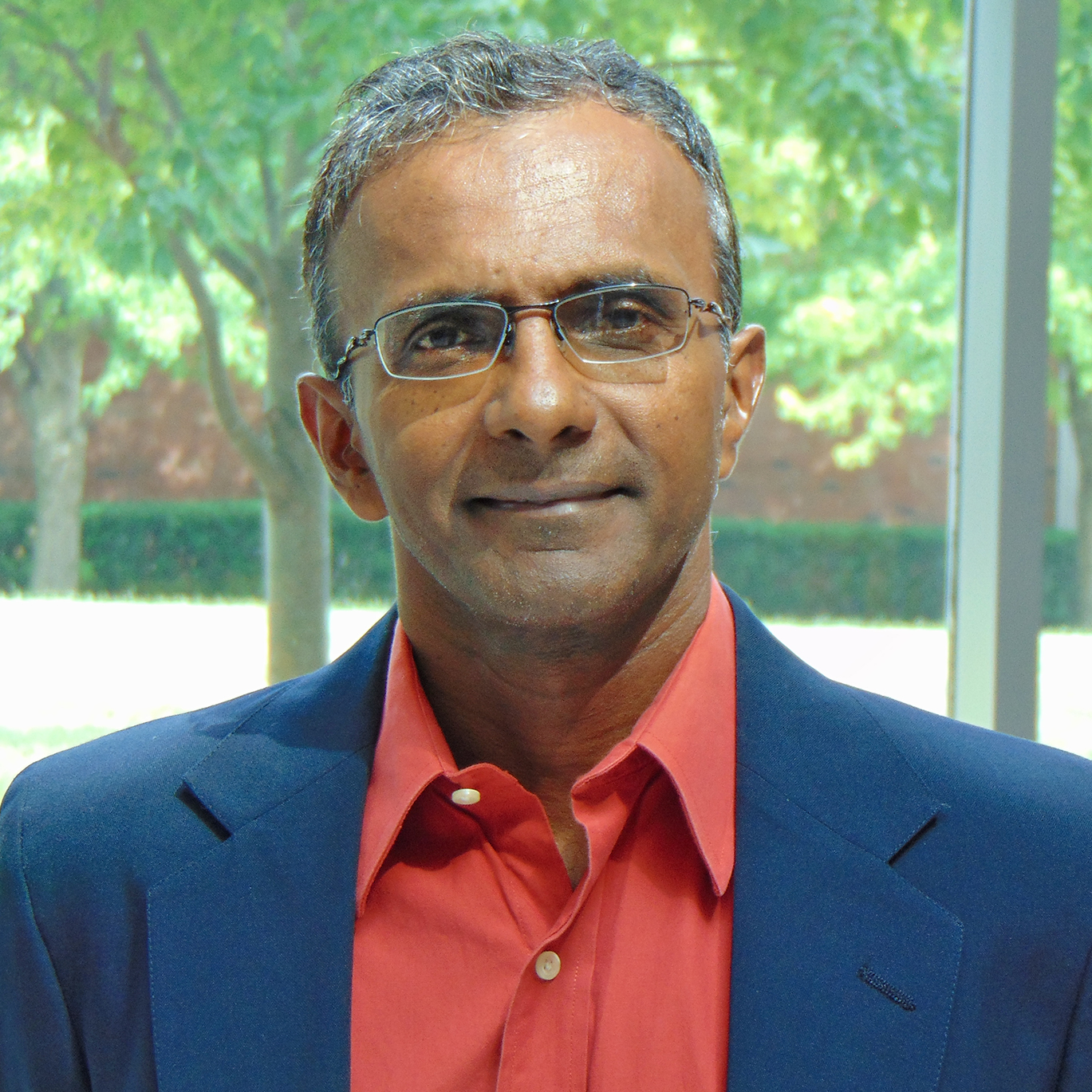 Jospeh Irudayaraj is a Founder Professor in Bioengineering.