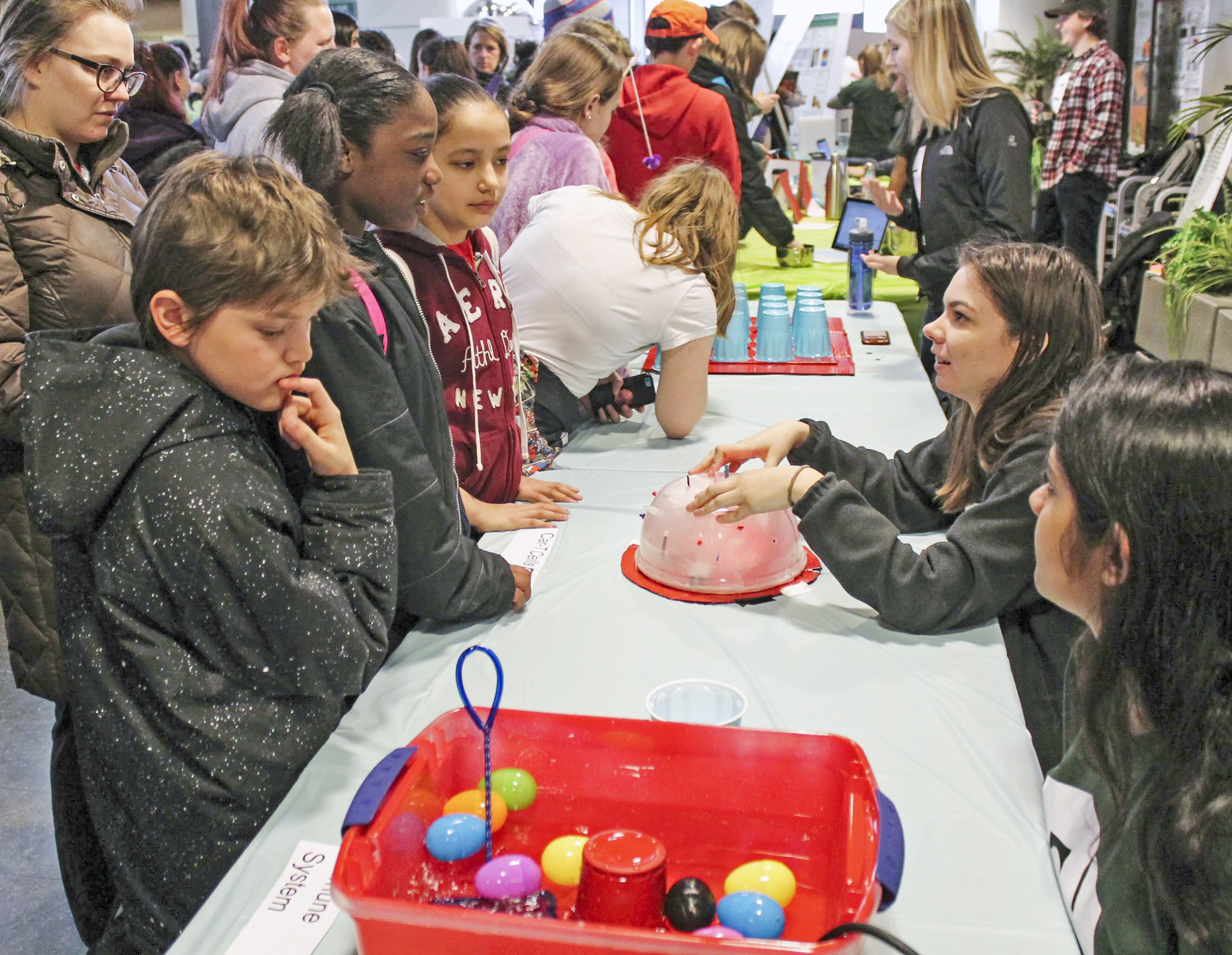 Each year, students involved in the Biomedical Engineering Society showcase hands-on projects at the annual Engineering Open House on campus. 