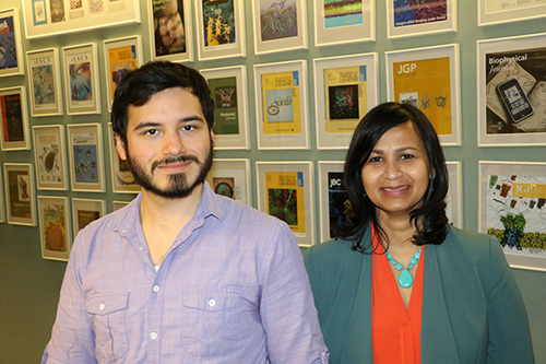 William Arnold (left), a graduate student in biochemistry in the School of Molecular and Cellular Biology, and Aditi Das, an assistant professor of biochemistry and bioengineering graduate program faculty member, published a paper in Biochemistry that outlined the findings on a new mechanism of doxorubicin cardiotoxicity.