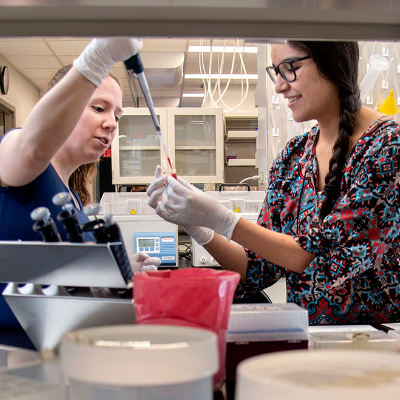 Current bioengineering graduate students share tips for applying to ...