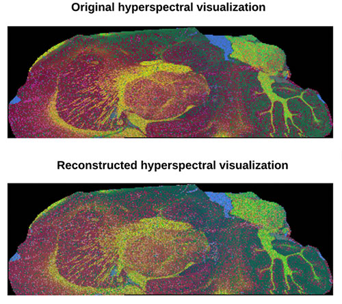 Top, hyperspectral visualization with data from a standard 9-hour experiment compared with hyperspectral visualization with data from a proposed 1-hour experiment.