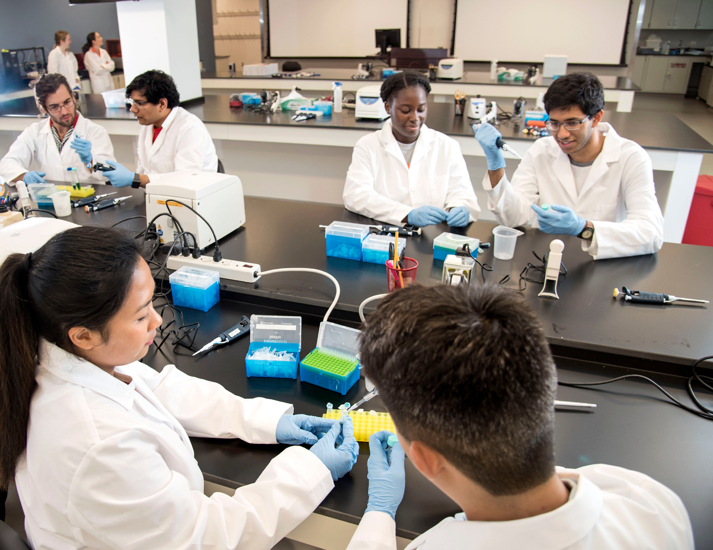 Bioengineering Uiuc Curriculum Map Undergraduate | Bioengineering | Uiuc