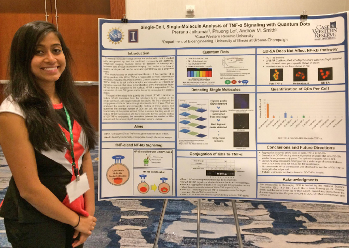 Prerana Jaikumar, 2016 Discoveries in Bioimaging REU participant, was selected to present her research at the Research Experiences for Undergraduates Symposium, October 22-23, 2017, in Arlington, VA. The symposium was organized by the Council on Undergraduate Research, a U.S. non-profit organization that supports and promotes undergraduate research. Prerana was mentored by Prof. Andrew Smith.