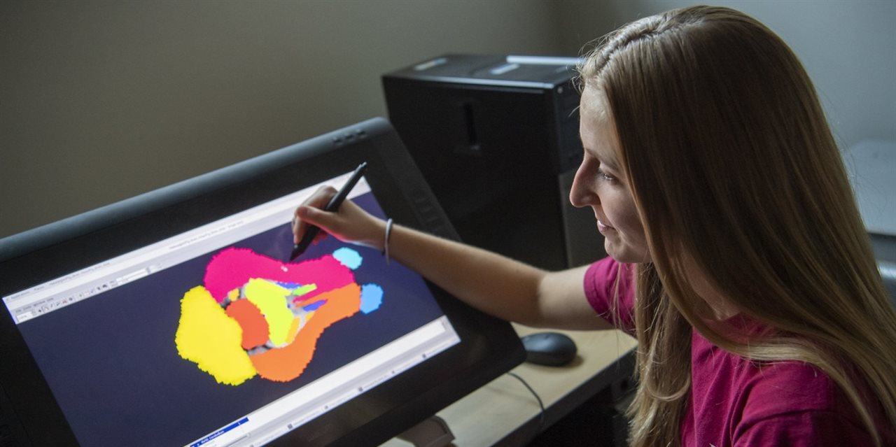 Study co-author Joanne Fil works with pig brain atlas on a computer screen
