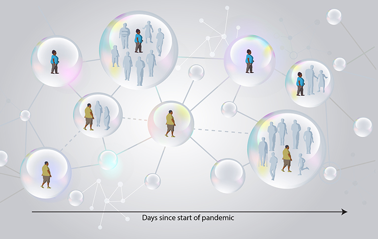 Scientists modeling the spread of COVID-19 showed that a temporary state of immunity arises when many social groups collectively have been infected. This 'transient collective immunity' is destroyed as people modify their social behaviors over time. For example, someone who isolated in the early days of the epidemic may at some point renew their social networks, meeting with small groups or large crowds. This 'rewiring' of social networks can trigger new epidemic waves, whose consequences and signatures can be computed. Credit: BNL
