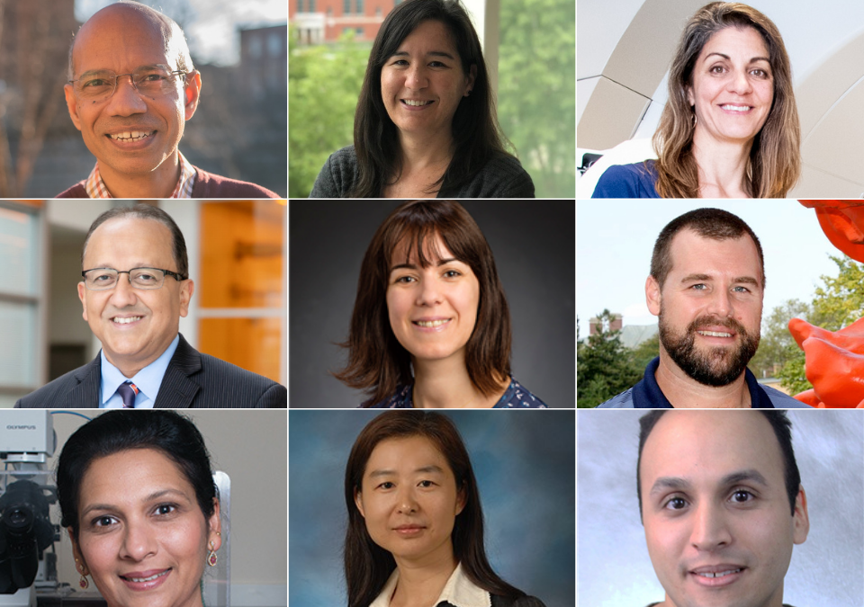 <em>Top row, left to right: M. Taher Saif, Shannon Sirk, Kimberly Selting; Middle row: Rashid Bashir, Cecilia Leal, Jason Ridlon; Bottom row: Supriya Prasanth, Hua Li, Mohammed El-Kebir</em>