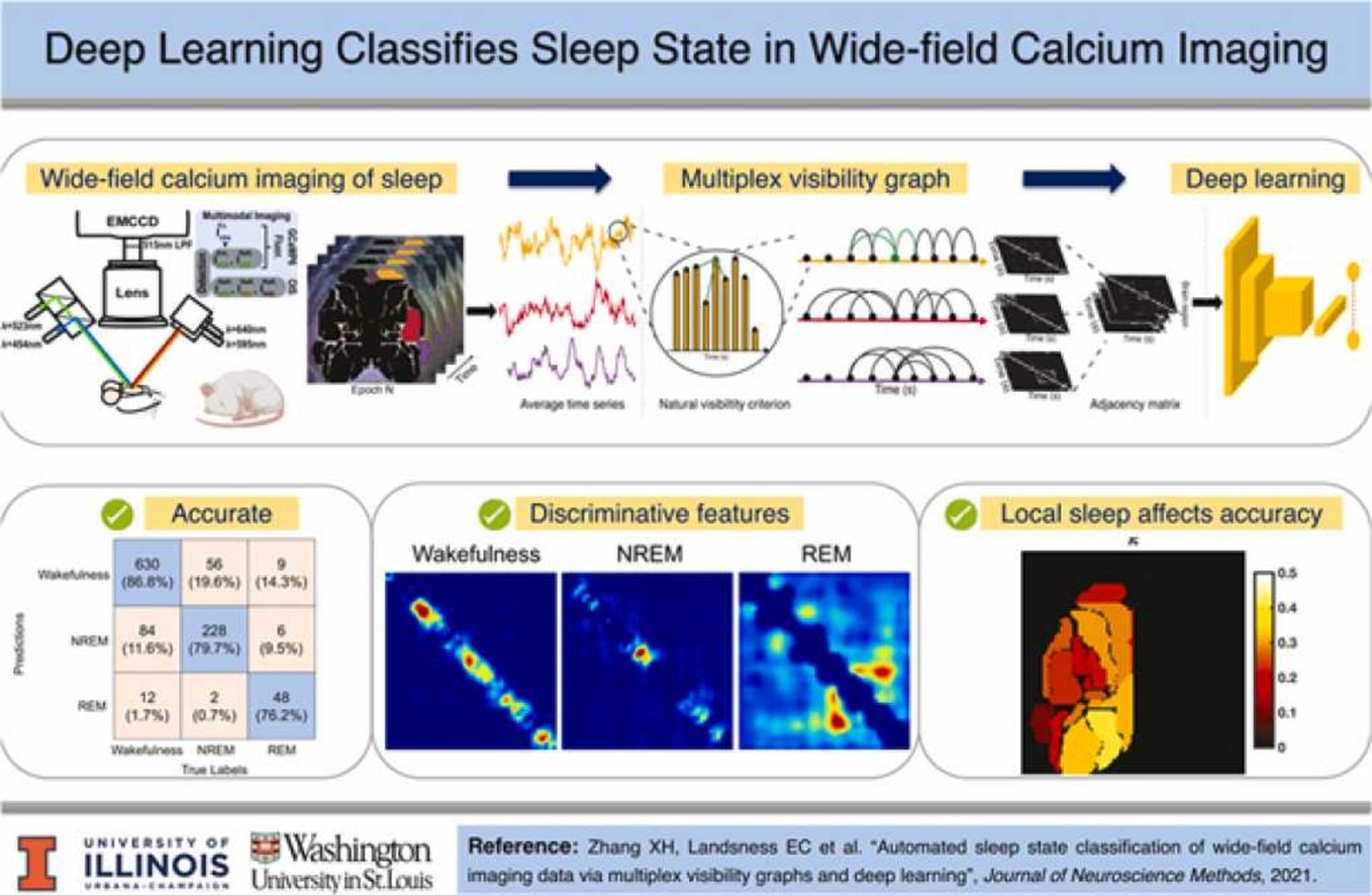 This study was recently published in the Journal of Neuroscience Methods.