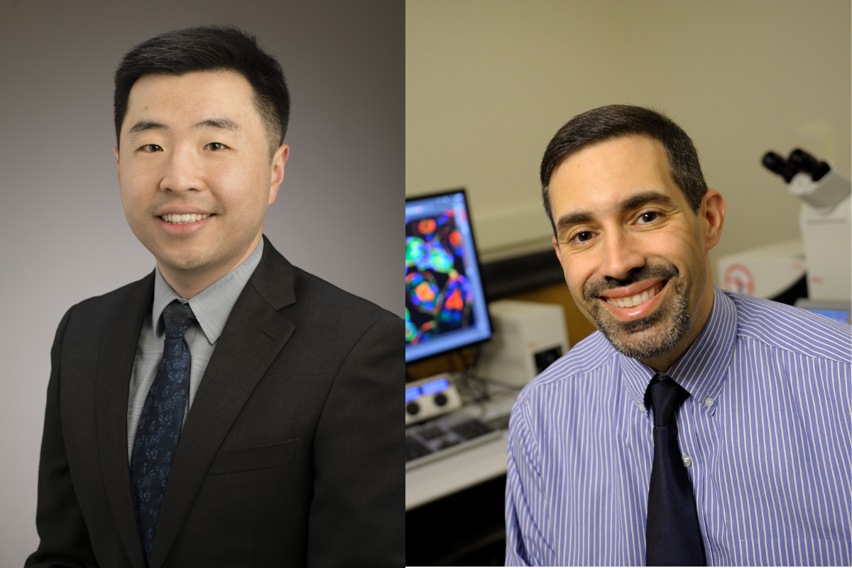 New framework for super-resolution ultrasound | Bioengineering | Illinois