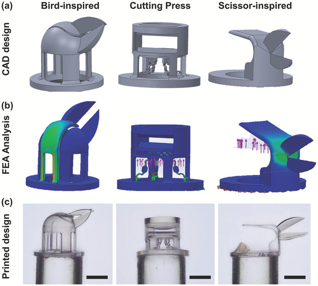 A sample of different tool heads