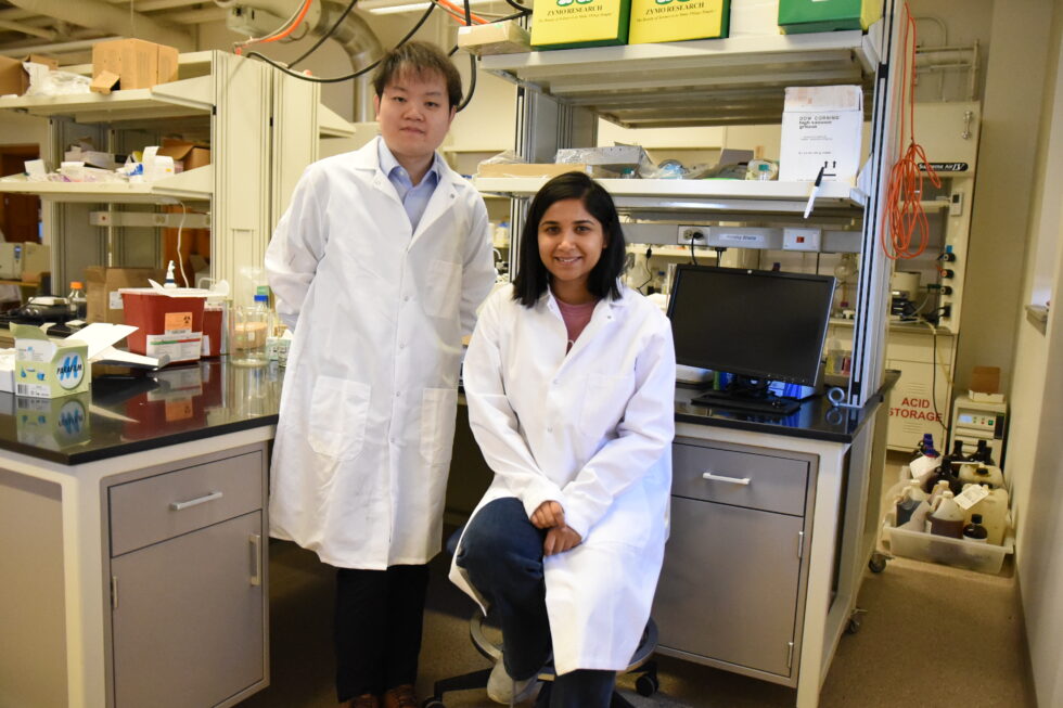 Cancer Center at Illinois (CCIL) researcher Hua Wang and PhD student Rimsha Bhatta&nbsp;