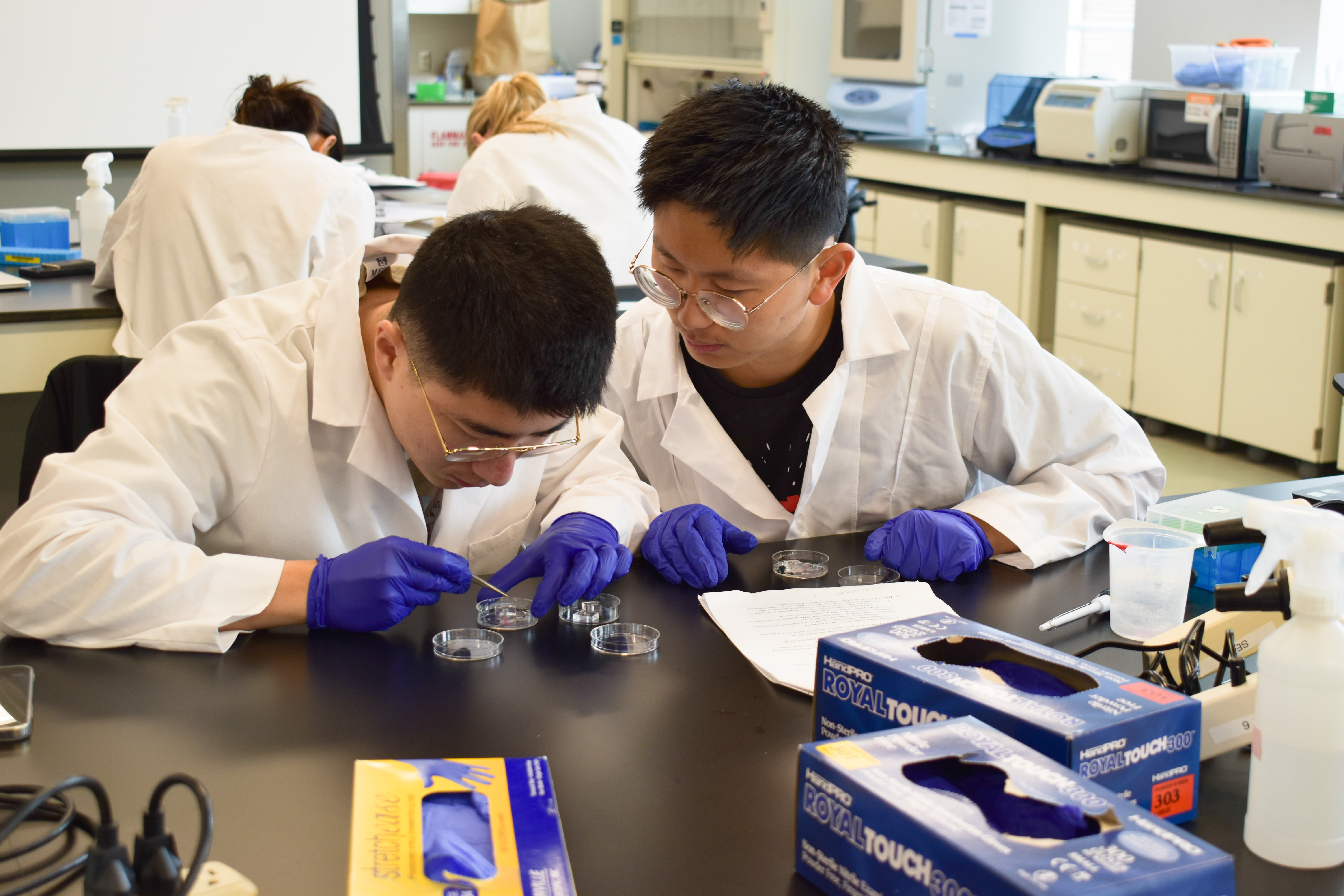 Left to right: Tom Huang and Tony Bian in Prof Cvetkovic's class.