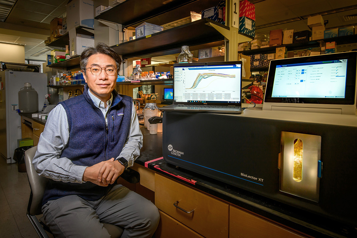 A research team co-led by food science and human nutrition professor Yong-Su Jin, pictured here, and bioengineering professor Ting Lu found a way to increase ethanol production from a mixture of sugars using a microbial division-of-labor approach and mathematical modeling.