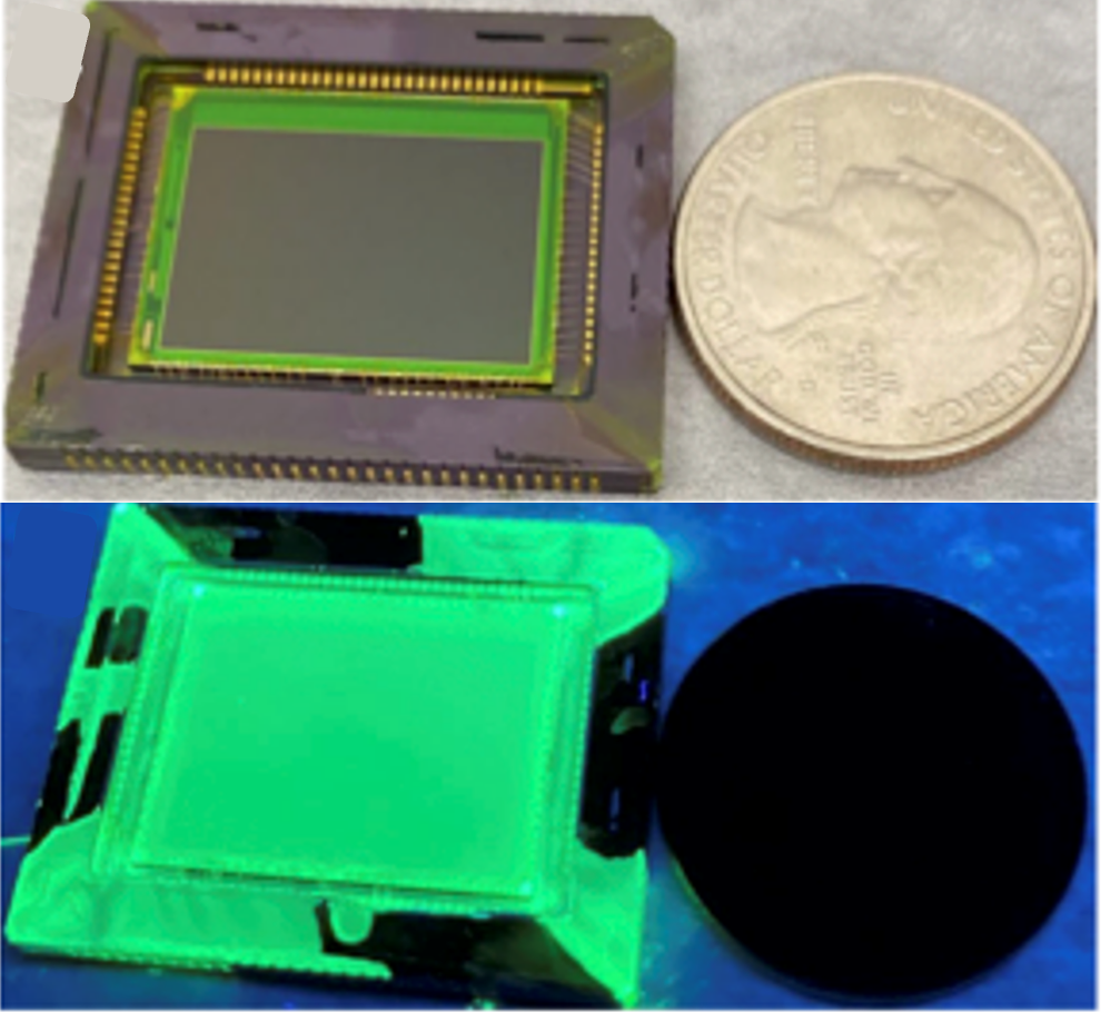UV imaging sensor compared to a US quarter under white light (top) and under UV light (bottom), green appearance attributed to PNC layer fluorescence.&nbsp;