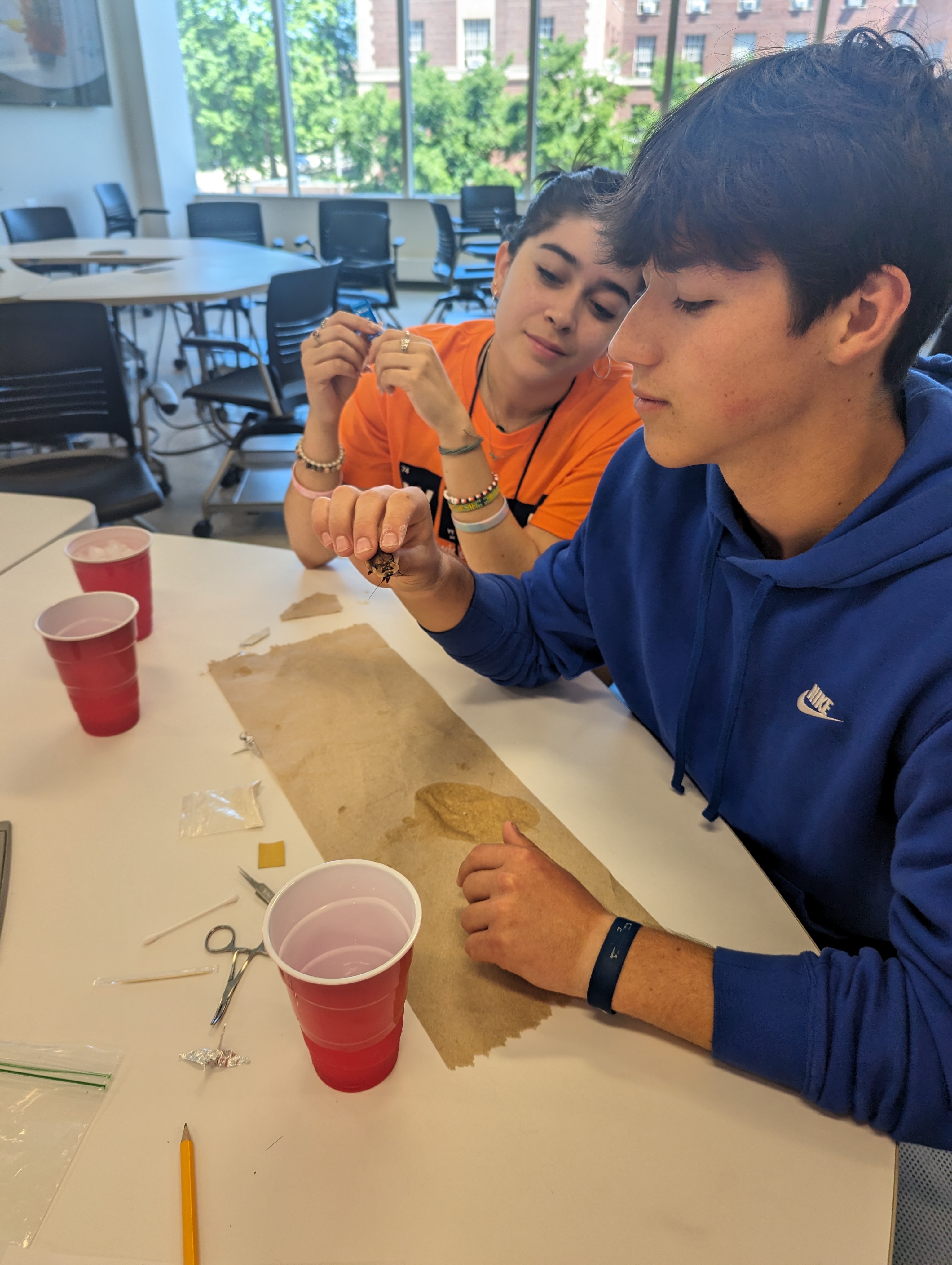 Campers surgically introduce electrodes into roach antennae for neural control and remote stimulation.