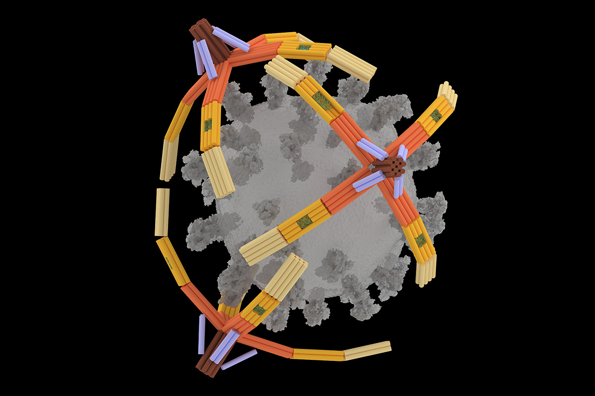 Illinois researchers developed a nanorobotic hand made of DNA that can grab viruses for detection or inhibition. In this artist&rsquo;s rendering, three &ldquo;NanoGripper&rdquo; hands wrap around a COVID-19 virus. Image courtesy of Xing Wang.